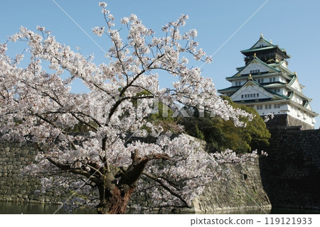 Osaka Castle cherry blossoms in full bloom 119121933