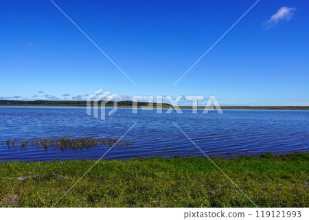 鮮花海藻 119121993