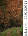 Metasequoia and Path 119122011