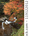 Autumn leaves and clear stream 119122012