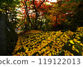 Autumn leaves and ginkgo stairs 119122013