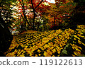 Fall landscape 119122613