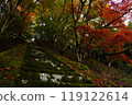 Autumn leaves and stairs 119122614
