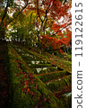 Autumn leaves and stairs 119122615