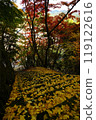 Ginkgo leaf stairs 119122616