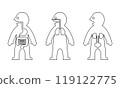 Human internal organs line drawing 119122775