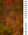Autumn leaves 119122824