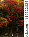 Autumn leaves and stairs 119122825