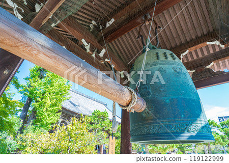 京都市百萬本知恩寺鐘和樹 京都市百萬本知恩寺鐘和樹 119122999