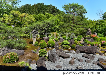 Snow Moon Flowers, Snow Garden in Kyoto Snow Moon Flowers, Snow Garden in Kyoto 119123010