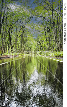 雨天的輝煌 雨天的輝煌 119123578