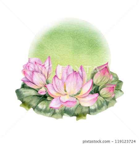 Japanese water lily lotus flower with green leaves on watercolor green splash illustration. Hand drawn floral composition, botany clipart for poster, logo design. Zen and Buddhism symbol Japanese water lily lotus flower with green leaves on watercolor green splash illustration. Hand drawn floral composition, botany clipart for poster, logo design. Zen and Buddhism symbol 119123724