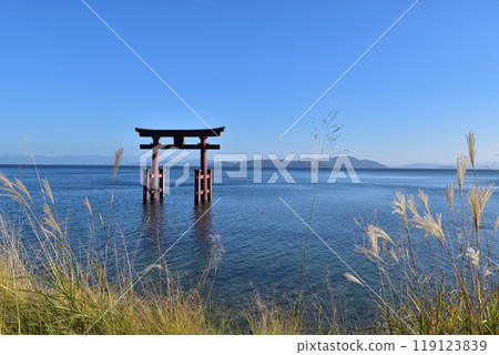 The large torii gate in the lake at Shirahige Shrine in Takashima City, Shiga Prefecture 119123839