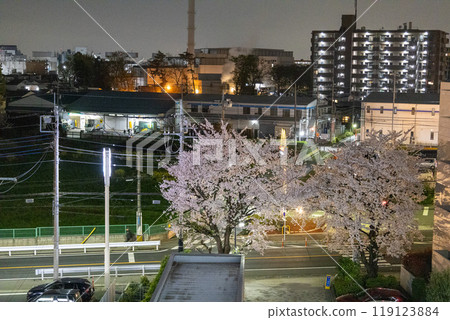 盛開的夜櫻花和住宅區的景色 119123884