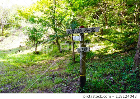 寶登山山頂 奧宮登山指南 寶登山神社 寶登山神社 119124048