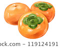 persimmon 119124191
