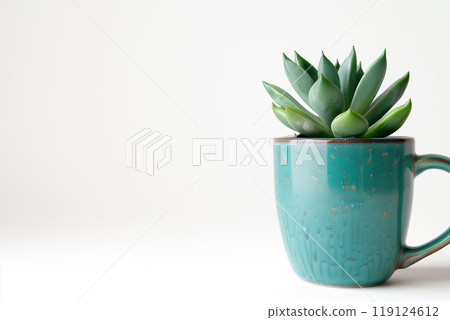 Succulent in a turquoise mug on a white surface 119124612
