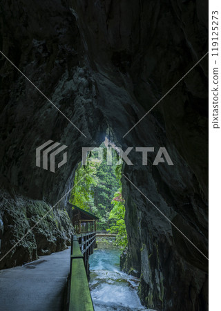 Special Natural Monument Akiyoshi Cave Mine City, Yamaguchi Prefecture 119125273