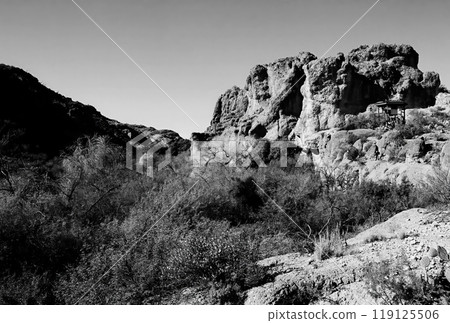 Film Image Sonora Desert Arizona Monochrome 119125506