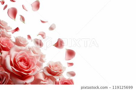 Pink rose on a gentle background, rose petals scattered in the air isolated on a white background 119125699