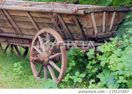 Wooden wheel. Vintage wooden cart. Traditional country vehicle in nature background. 119125807