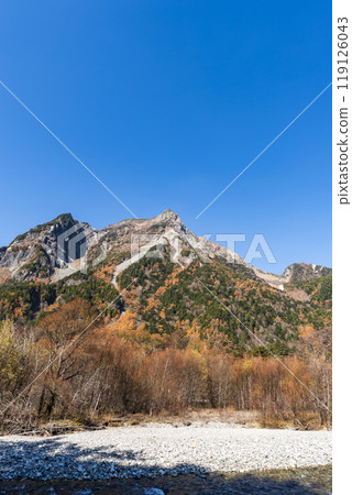 長野縣松本市安曇中部山國立公園,上高地明神山的秋葉 長野縣松本市安曇中部山國立公園,上高地明神山的秋葉 119126043