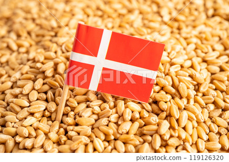 Grains wheat with Switzerland flag, trade export and economy. Grains wheat with Switzerland flag, trade export and economy. 119126320