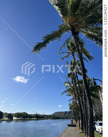 夏威夷運河和棕櫚樹 夏威夷運河和棕櫚樹 119126427