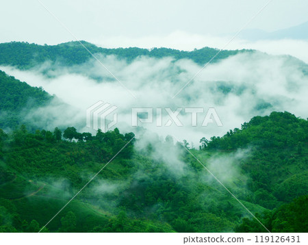 The mist flows through the mountain forest, Sun shining into tropical forest, Mist drifts through mountain ridges in the morning, slow floating fog blowing cover on the top of mountain The mist flows through the mountain forest, Sun shining into tropical forest, Mist drifts through mountain ridges in the morning, slow floating fog blowing cover on the top of mountain 119126431