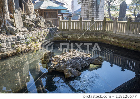 Nioike Pond at Naritasan Shinshoji Temple, Narita City, Chiba Prefecture 119126577