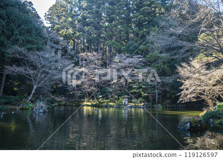 成田山公園文殊池 千葉縣成田市 119126597