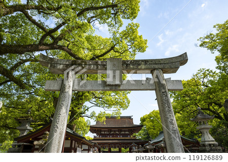 Dazaifu Tenmangu Shrine, 5th Torii Gate, Dazaifu City, Fukuoka Prefecture 119126889