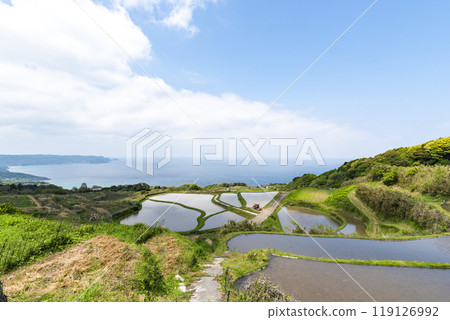 Higashi Ushirohata Rice Terraces, Nagato City, Yamaguchi Prefecture 119126992