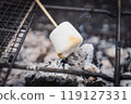 Charcoal grilled marshmallows 119127331