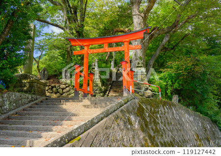 伊綱神社【長野市】 伊綱神社【長野市】 119127442