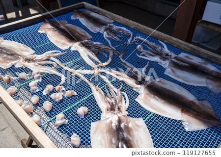 Sun-dried Japanese flying squid 119127655