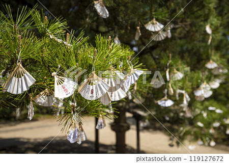 A fortune-telling paper with a Suehiro fan tied to a pine tree at Tenkyozan Chionji Temple, Monju, Miyazu City, Kyoto Prefecture 119127672