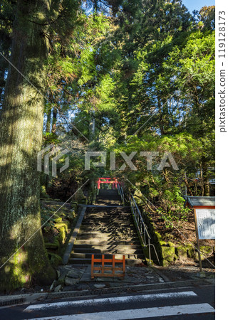 神奈川縣箱根町箱根神社的參道 神奈川縣箱根町箱根神社的參道 119128173