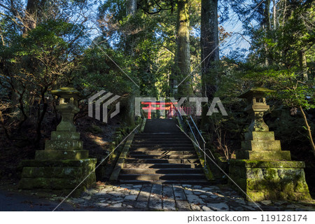 神奈川縣箱根町箱根神社的參道 神奈川縣箱根町箱根神社的參道 119128174