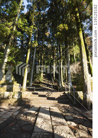 神奈川縣箱根町箱根神社的參道 神奈川縣箱根町箱根神社的參道 119128182