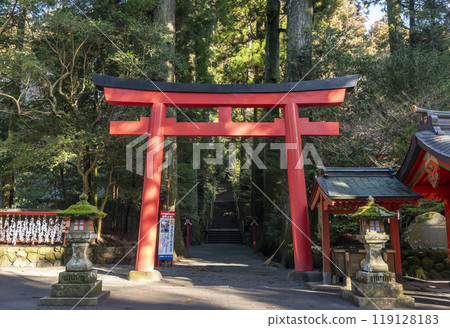 神奈川縣箱根町箱根神社第四鳥居 神奈川縣箱根町箱根神社第四鳥居 119128183