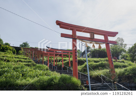 福岡縣浮羽市城花公園浮羽稻荷神社境內排列的鳥居 119128261