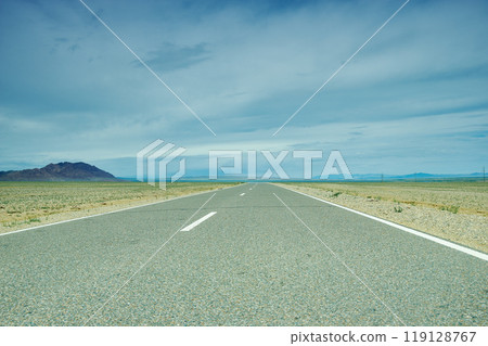 Road in Gobi Desert Road in Gobi Desert 119128767