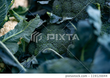 Broccoli displayed on a farmer's market counter Broccoli displayed on a farmer's market counter 119128844