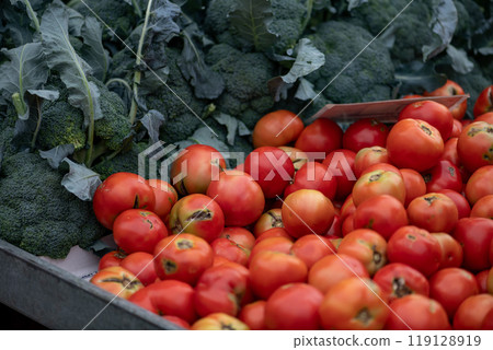 Fresh vegetables displayed on a farmer's market counter 119128919