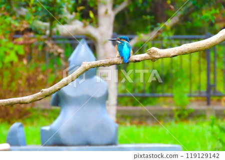 The back of Jizo and the back of a kingfisher 119129142