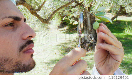 Specialist analyzing an olive with magnyfiying lens Specialist analyzing an olive with magnyfiying lens 119129401