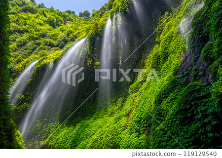 Madakaripura Waterfall, East Java, Indonesia Madakaripura Waterfall, East Java, Indonesia 119129540