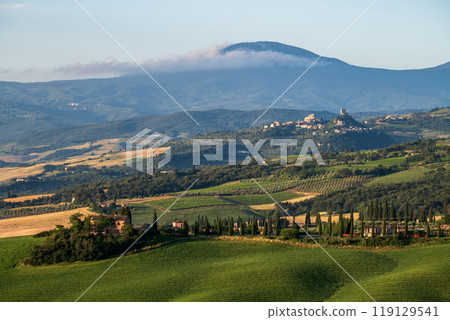 The rolling hills and green fields at sunrise, Tuscany, Italy 119129541