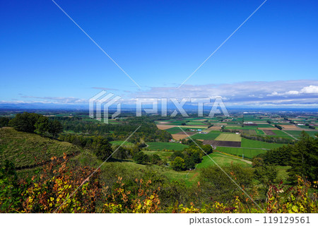Autumn at Shin-Arashiyama Sky Park Observatory (2024) 119129561